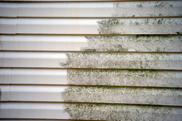 Best Residential Vinyl Siding Installation  in Ladera, CA